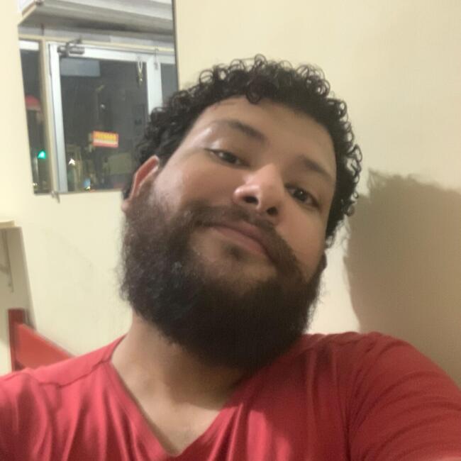 Babysitter in Belo Horizonte: Pedro