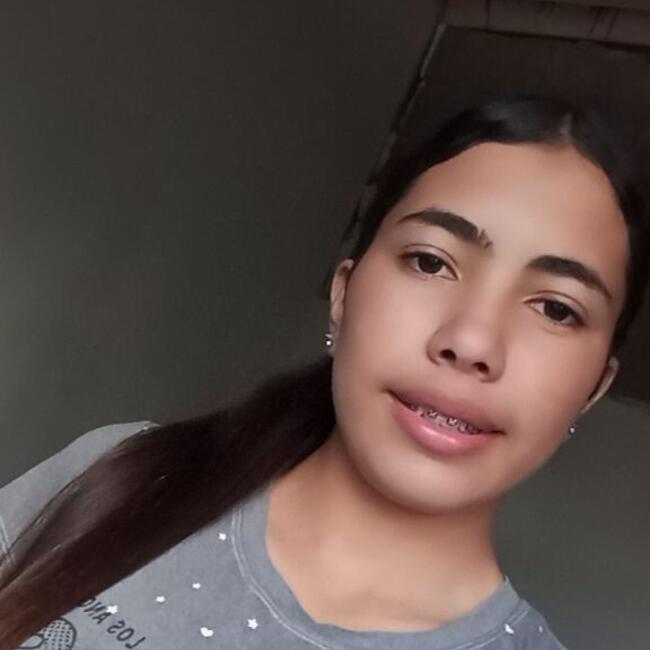 Babysitter in Barquisimeto: Roximar