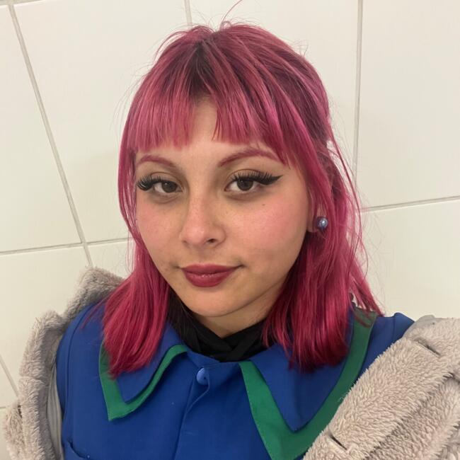 Babysitter in La Serena: Mayerli Javiera