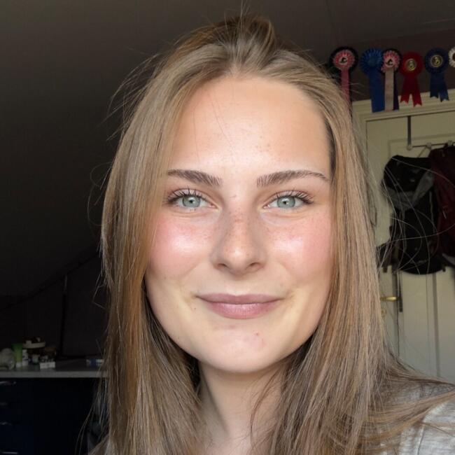 Babysitter in Store Færder: Anneli