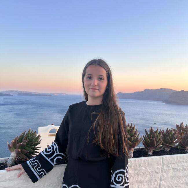 Babysitter in Chevilly-Larue: Camille