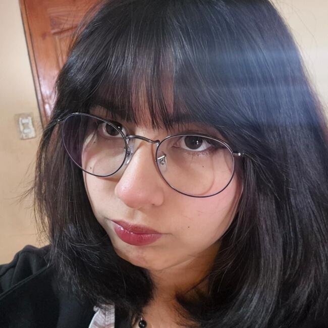 Babysitter in Antofagasta: Carolina escobar