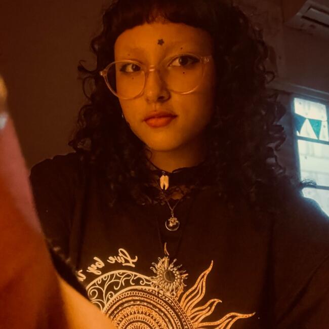 Babysitter in Uberlândia: Larissa