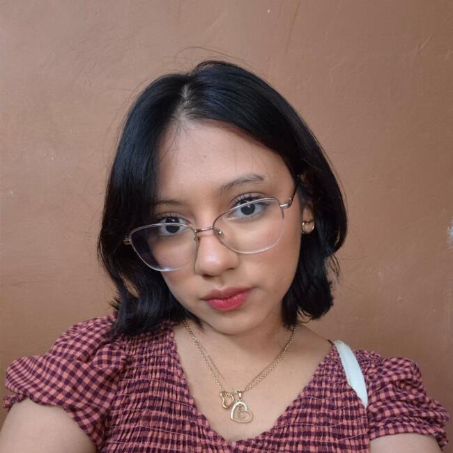 Babysitter in Reynosa: Holanda