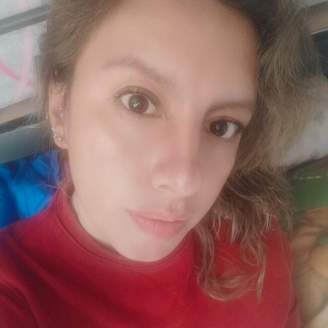 Babysitter in Colonia Álvaro Obregón: Avhy