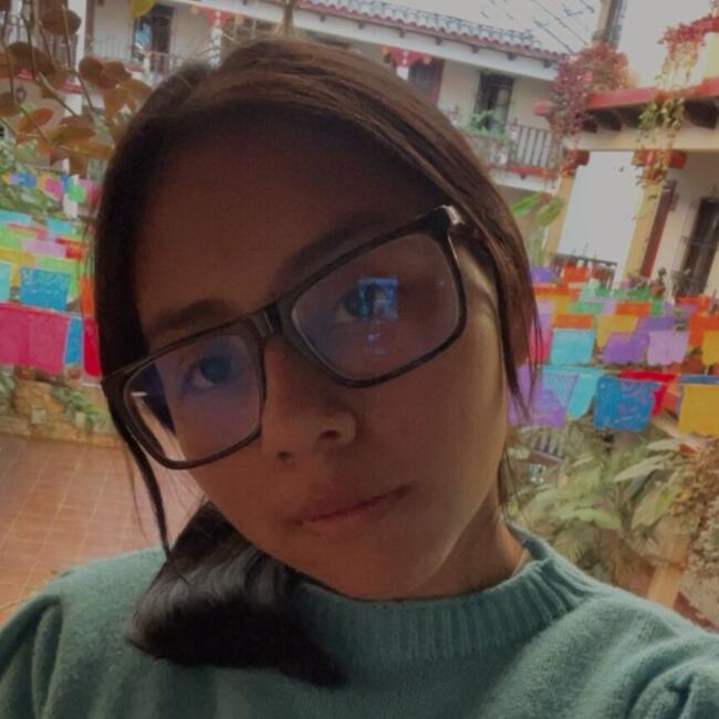 Niñera en Xalapa: Karla