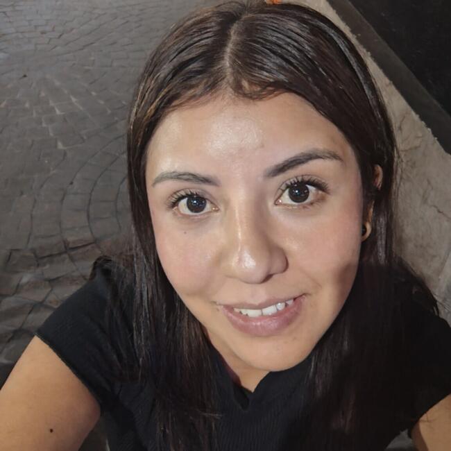 Babysitter in Colonia Álvaro Obregón: Yesenia