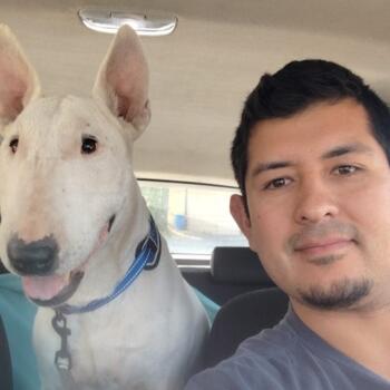 Trabajo para niñera en Curicó: trabajo de niñera Andrés