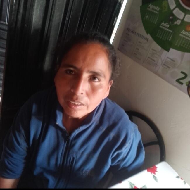 Babysitter in Santa Cruz: Amelia Valverde