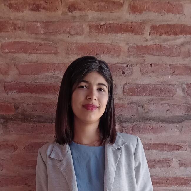 Niñera en Ciudad de Resistencia: Sara