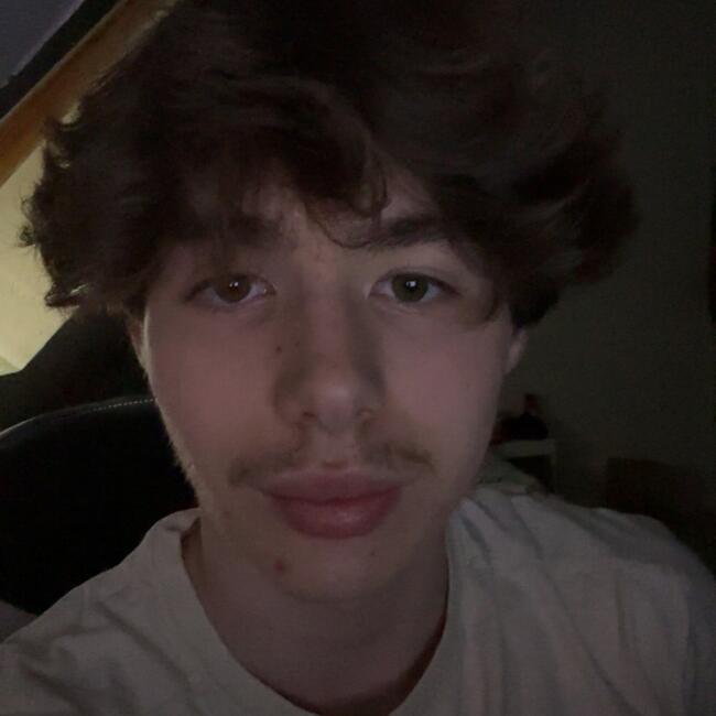 Babysitter in Bonsecours: Noah