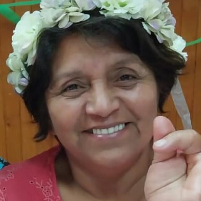 Niñera en Puerto Varas: Juanita