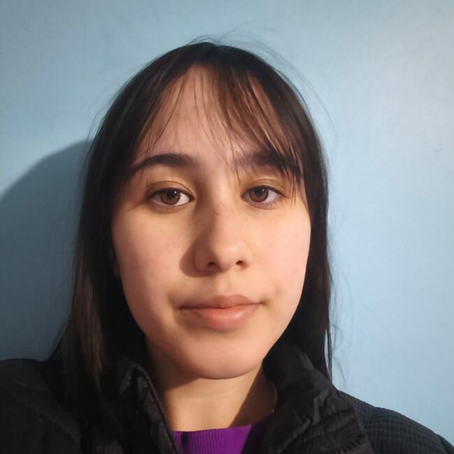 Babysitter in Concepción: Alexa