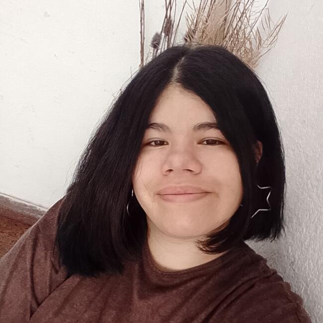 Babysitter in Posadas: Nicol