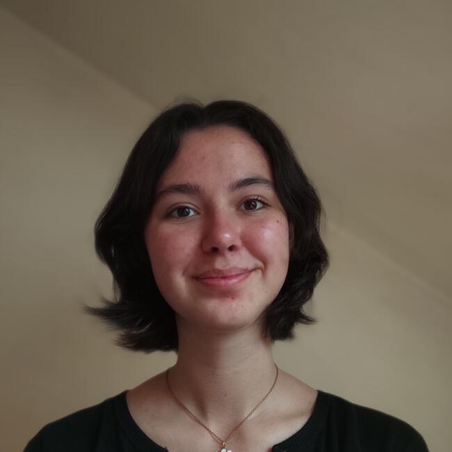 Babysitter in Nantes: Anouck
