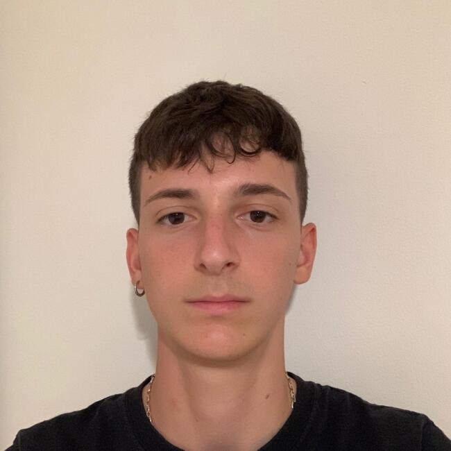 Babysitter in Aarhus: Carlo