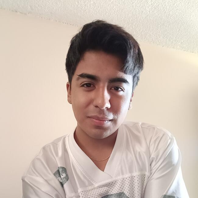 Babysitting job in Aguascalientes: Sofía