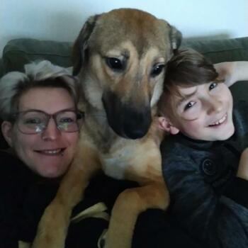 Babysitting job in Sint-Truiden: babysitting job Dinah