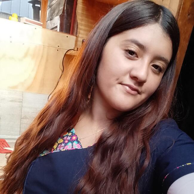 Babysitter in Port Montt: Daniela