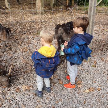 Baby-sitting Füllinsdorf: job de garde d'enfants Sabrina