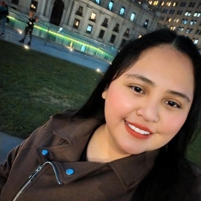 Babysitter in Santiago: Nicol