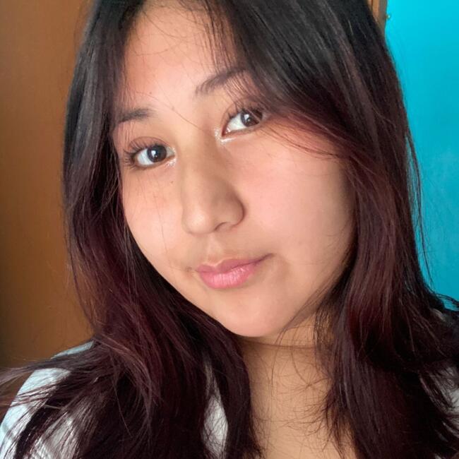 Babysitter in Temuco: Silvana