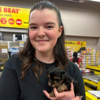 Babysitter in Lethbridge: Scarlett