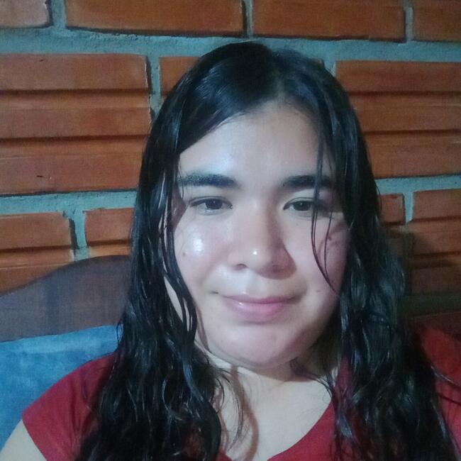 Babysitter in Posadas: Lilian