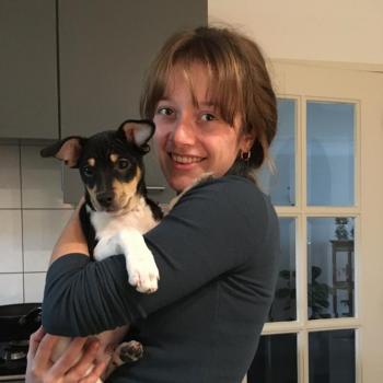 Babysitter in Antwerpen: Denice