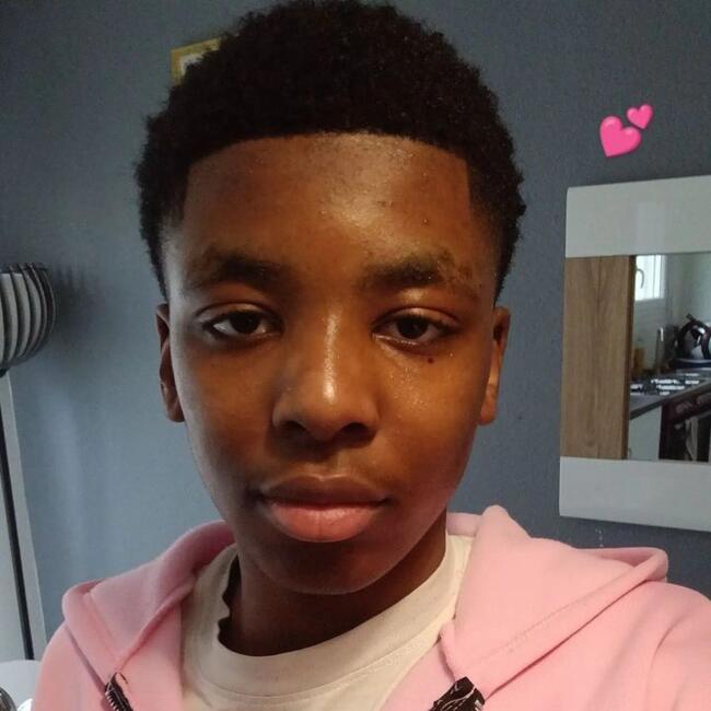 Babysitter in Rennes: Howayne