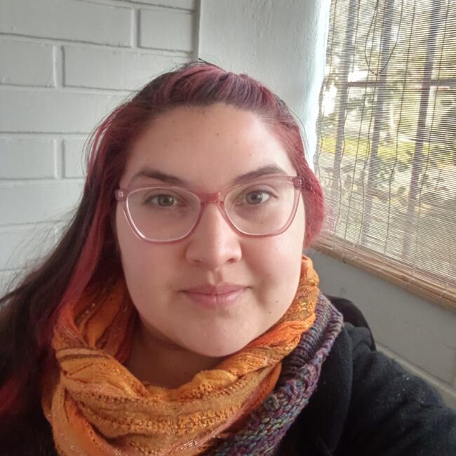 Babysitter in Santiago: Yasna