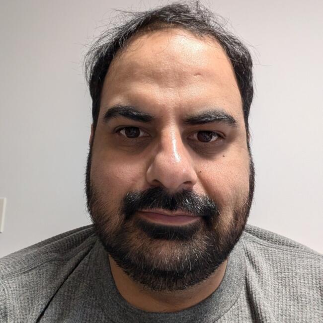 Babysitting job in Toronto: Abhineet