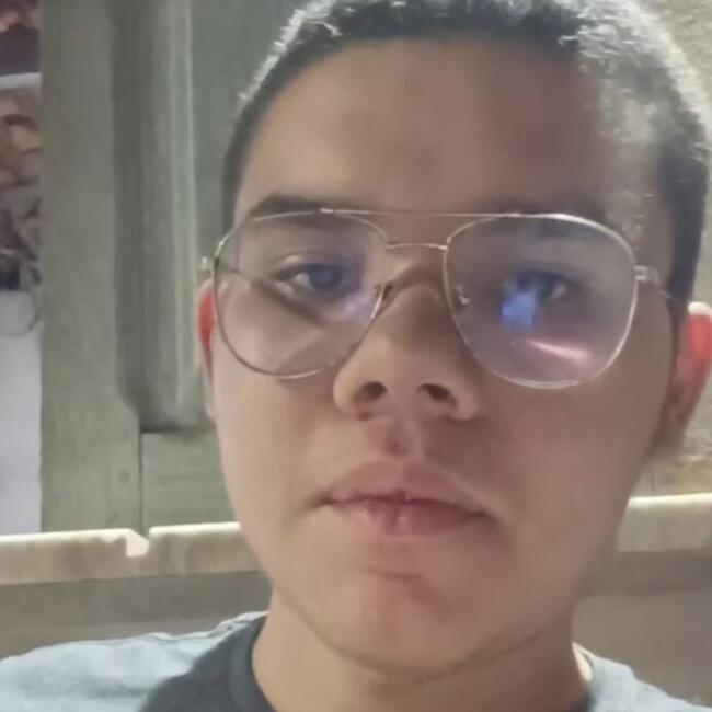 Babysitting job in Abaetetuba: Andre