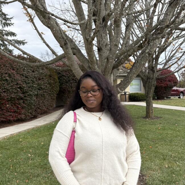 Babysitter in Woodbridge (Virginia): Chelsea
