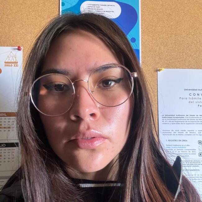 Niñera en Toluca de Lerdo: Judith