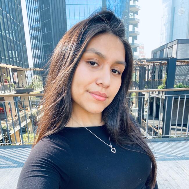 Babysitter in Maipú: Javi