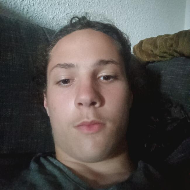 Babysitter in Chamalières: Raphaël