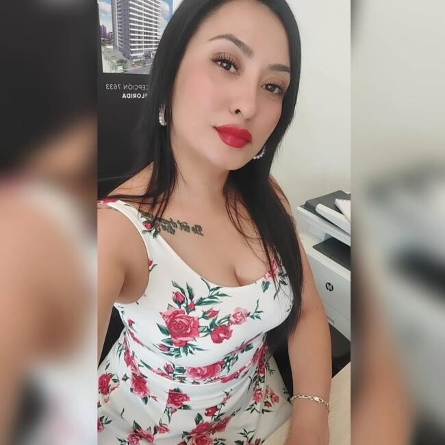 Babysitting job in Renca: Camila