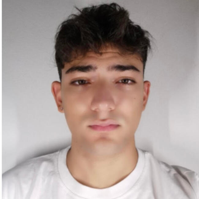 Babysitter in Mantova: Carlo