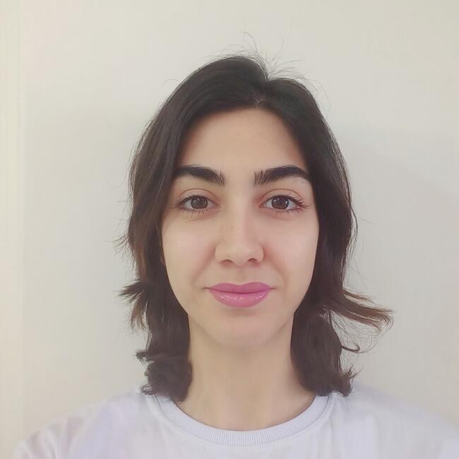 Opiekunka do dziecka w Wrocław: Niloofar