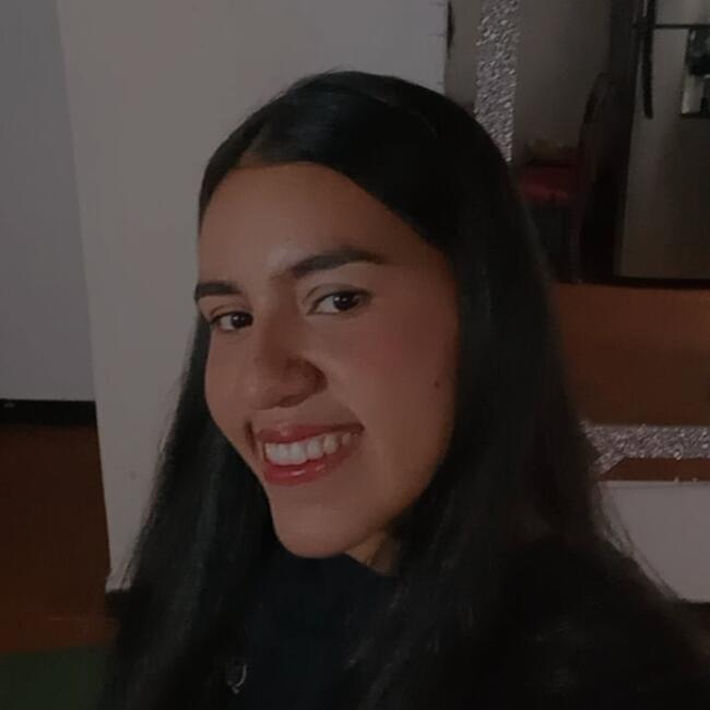 Babysitter στην περιοχή Piedecuesta: Tatiana