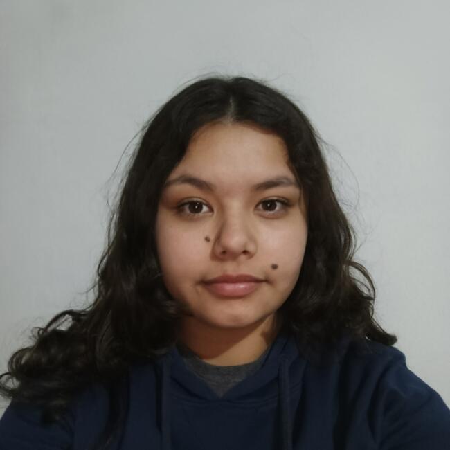 Niñera en Valparaíso: Colomba