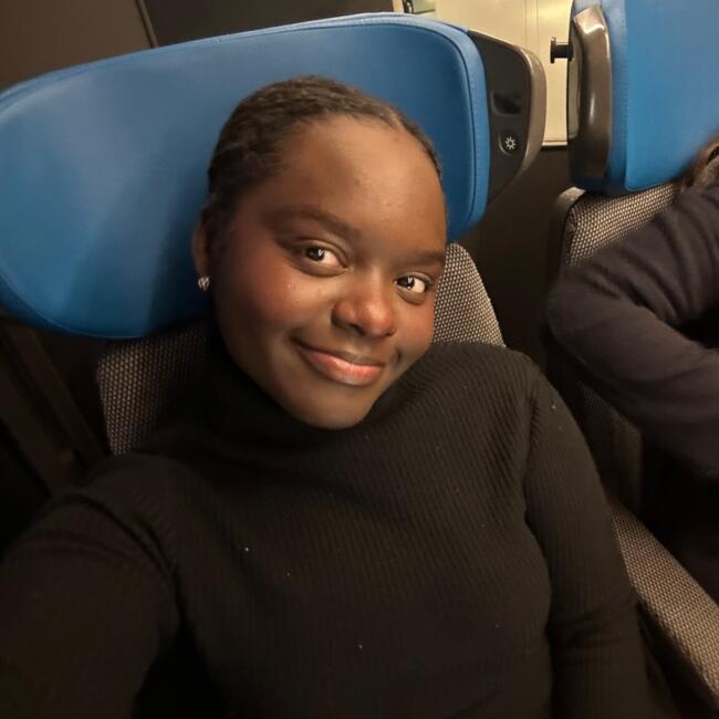 Babysitter in Boulogne-sur-Mer: Olive vincentia