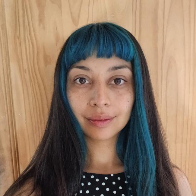 Babysitter in Renca: Sara Belen