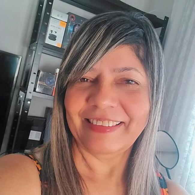 Babysitter in Campinas: Valdezira