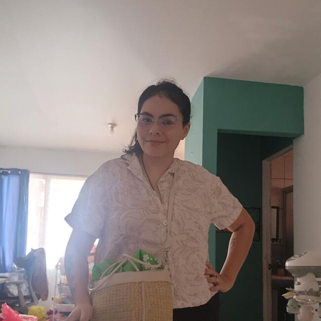 Babysitting job in Aserrí: Jessica