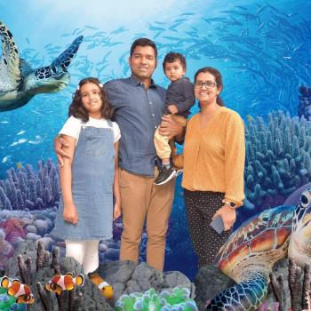 Babysitting job in Wellington: babysitting job Sanjeeb