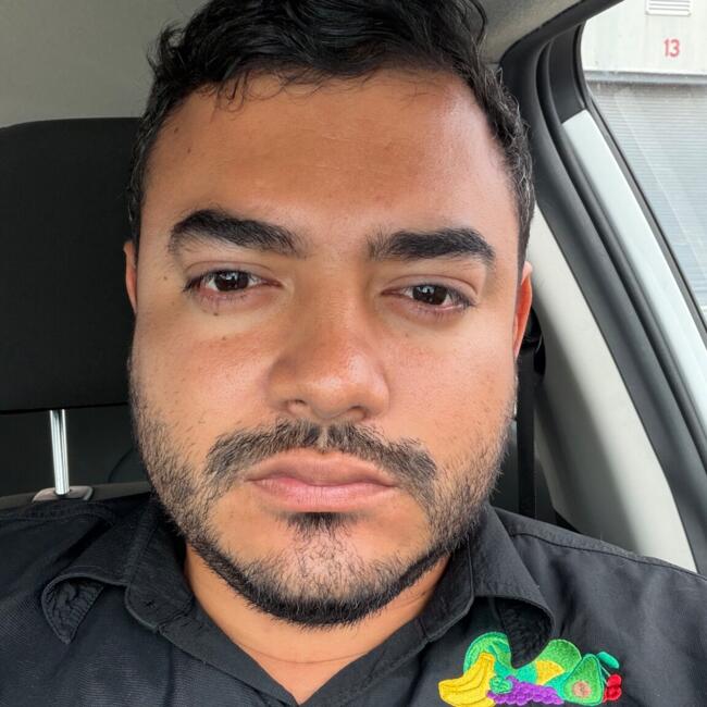 Babysitting job in Arosemena: Edison