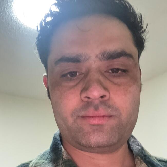 Babysitting job in Scarborough Junction: Madhav
