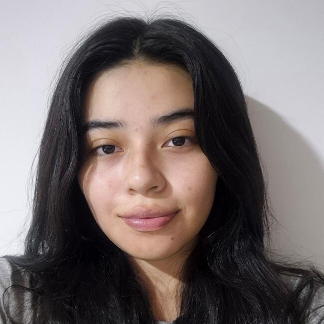 Babysitter in Santiago de Cali: Lina